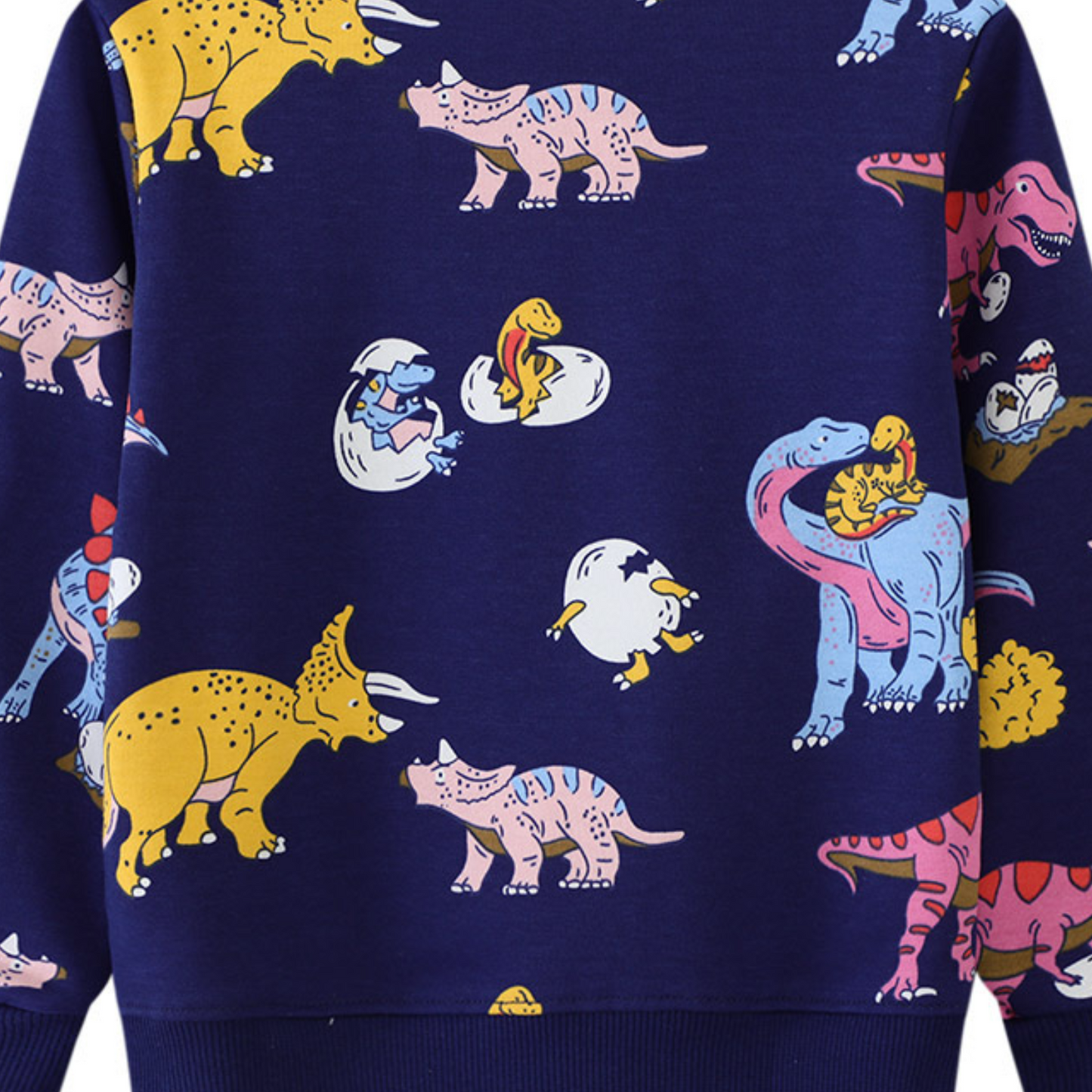 Colouful Dinosur Kids pullover
