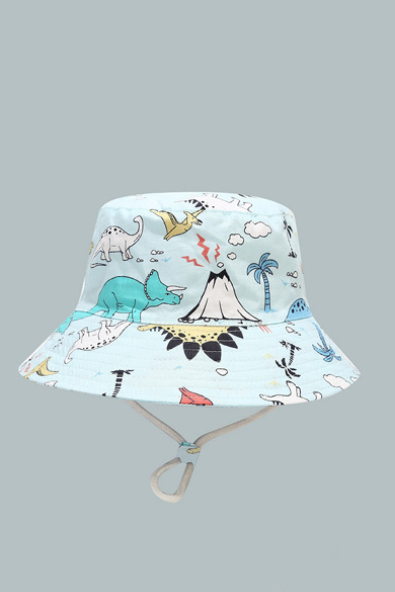 Dinosaur bucket hat