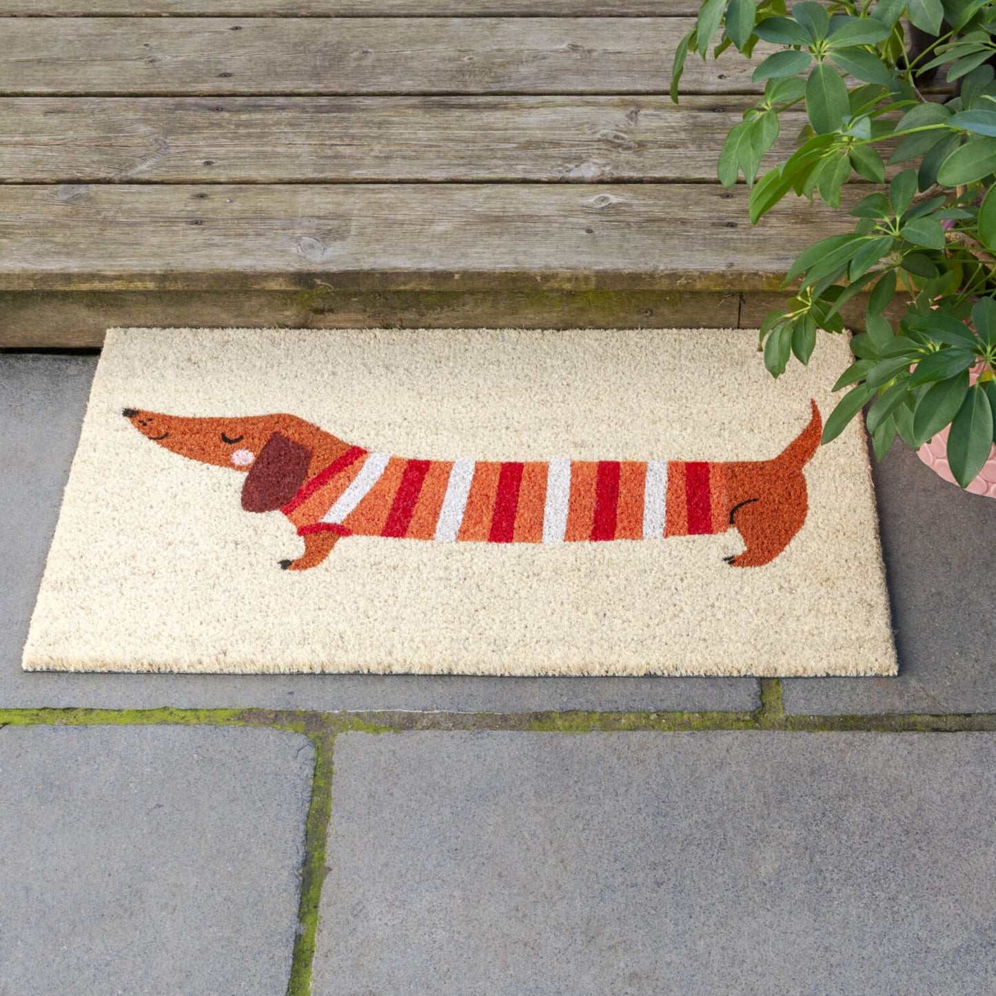 Rex London Doormat – Sausage Dog