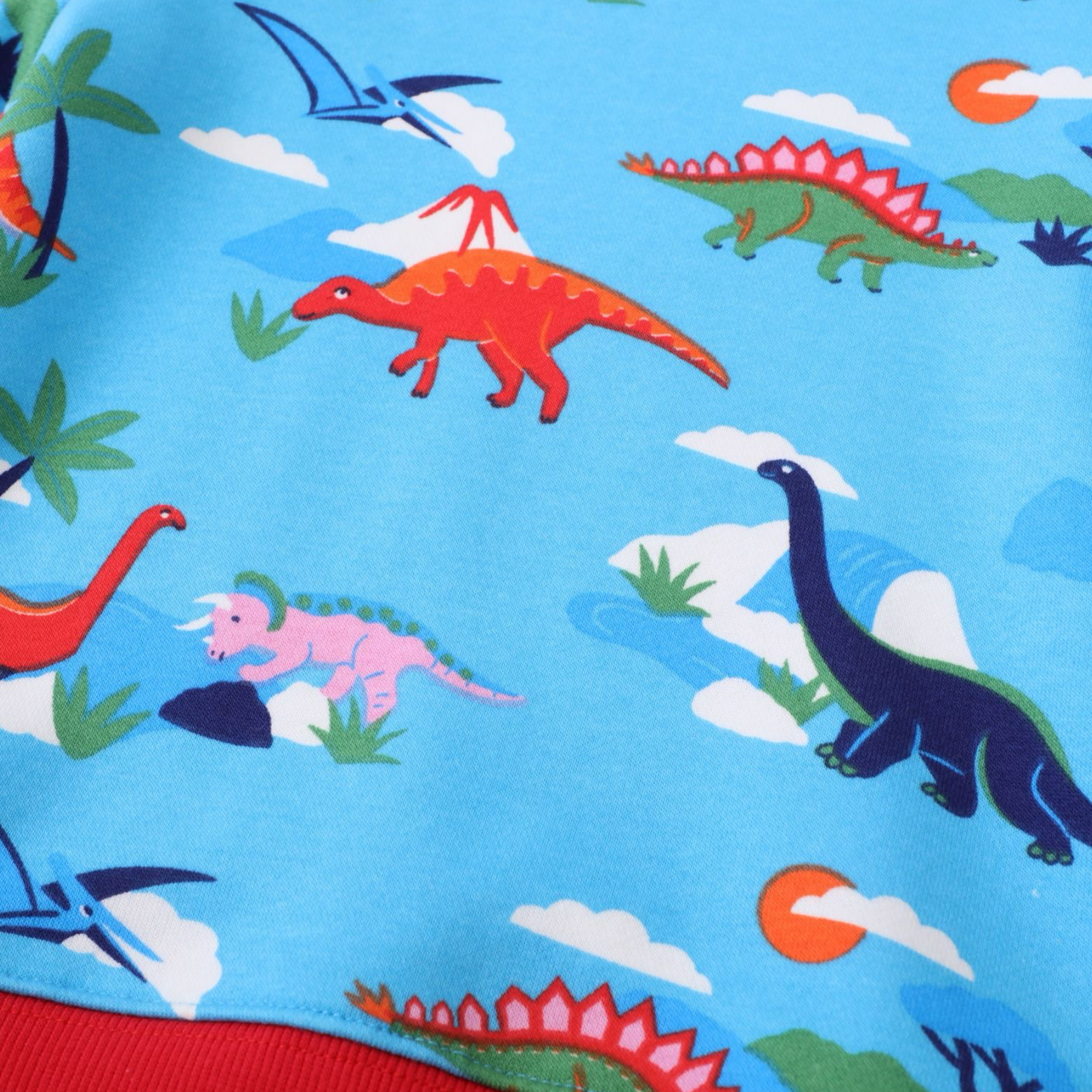 Prehistoric Kids Cotton Pullover