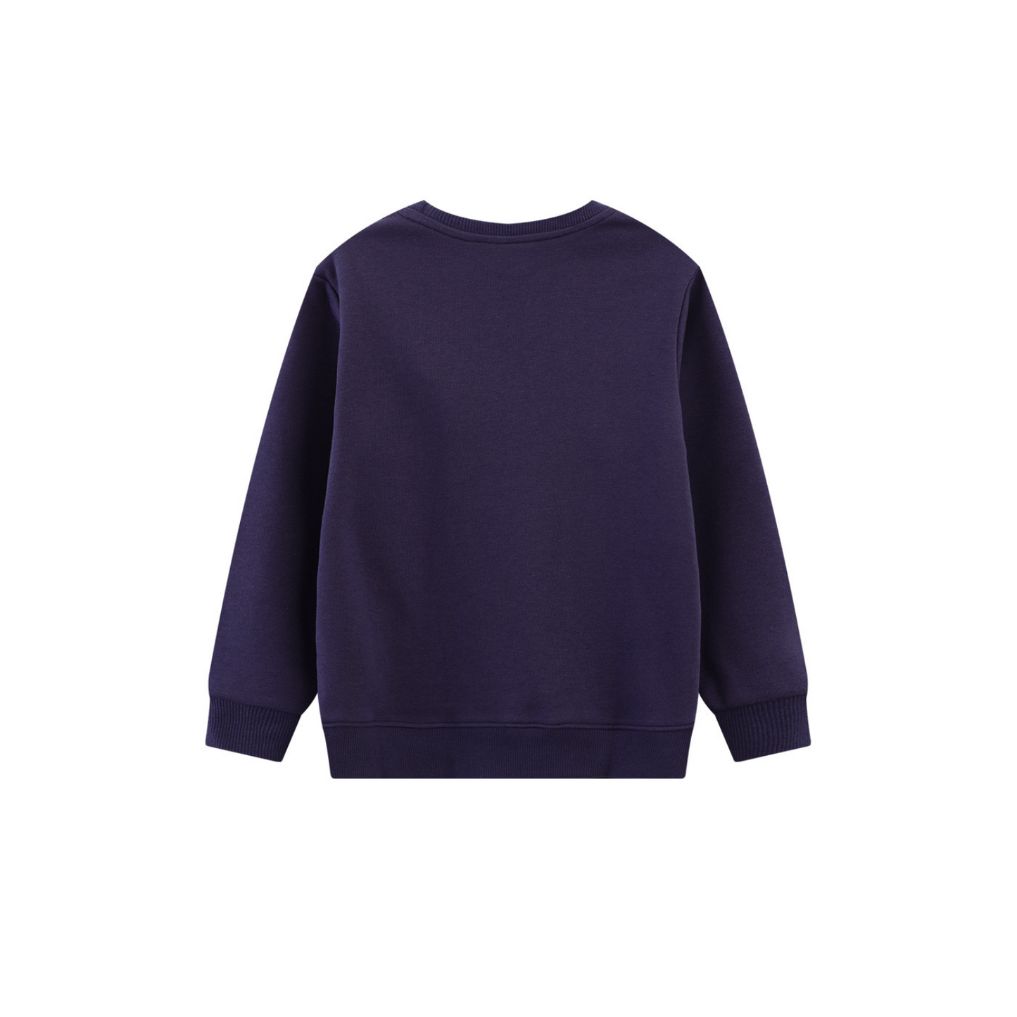 Glow in the dark T-Rex Kids Cotton Pullover