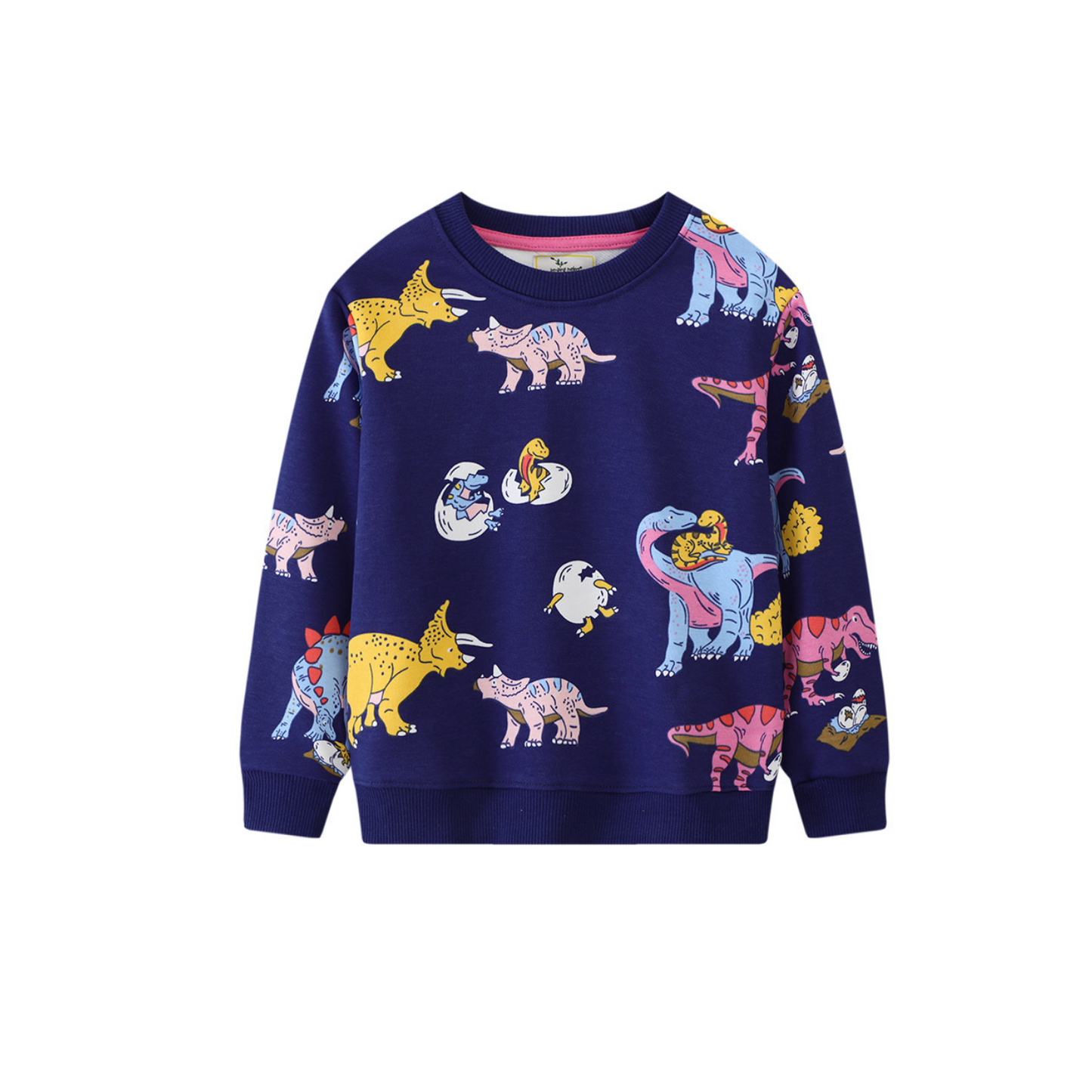 Colouful Dinosur Kids pullover