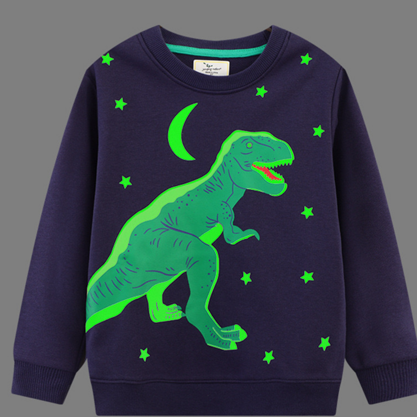 Glow in the dark T-Rex Kids Cotton Pullover