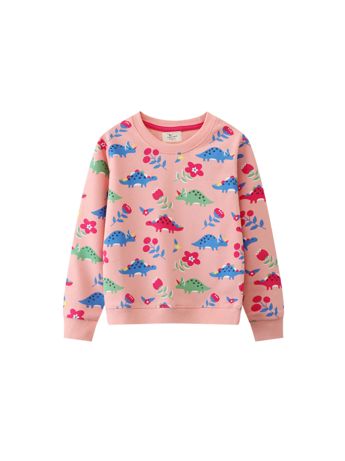 Dinosaur pullover