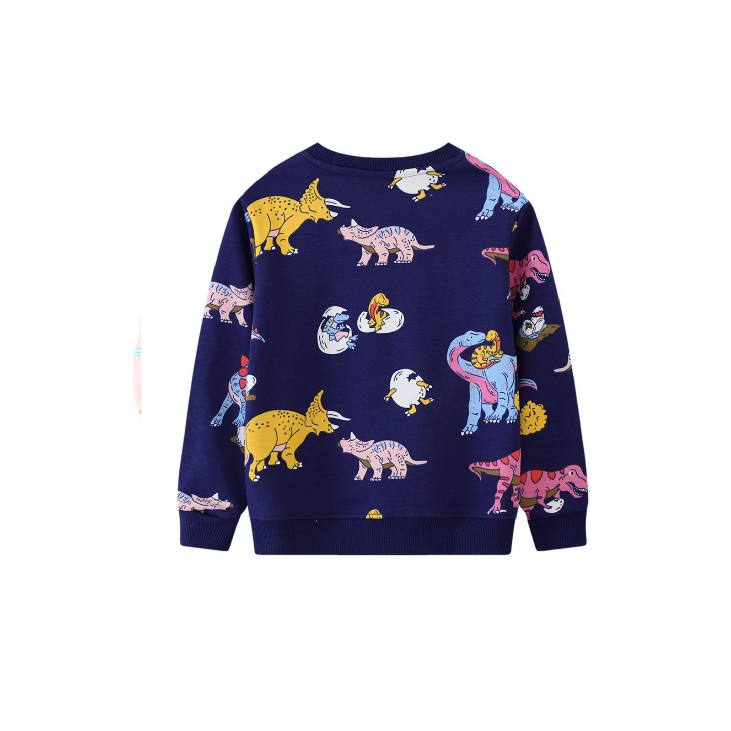 Colouful Dinosur Kids pullover
