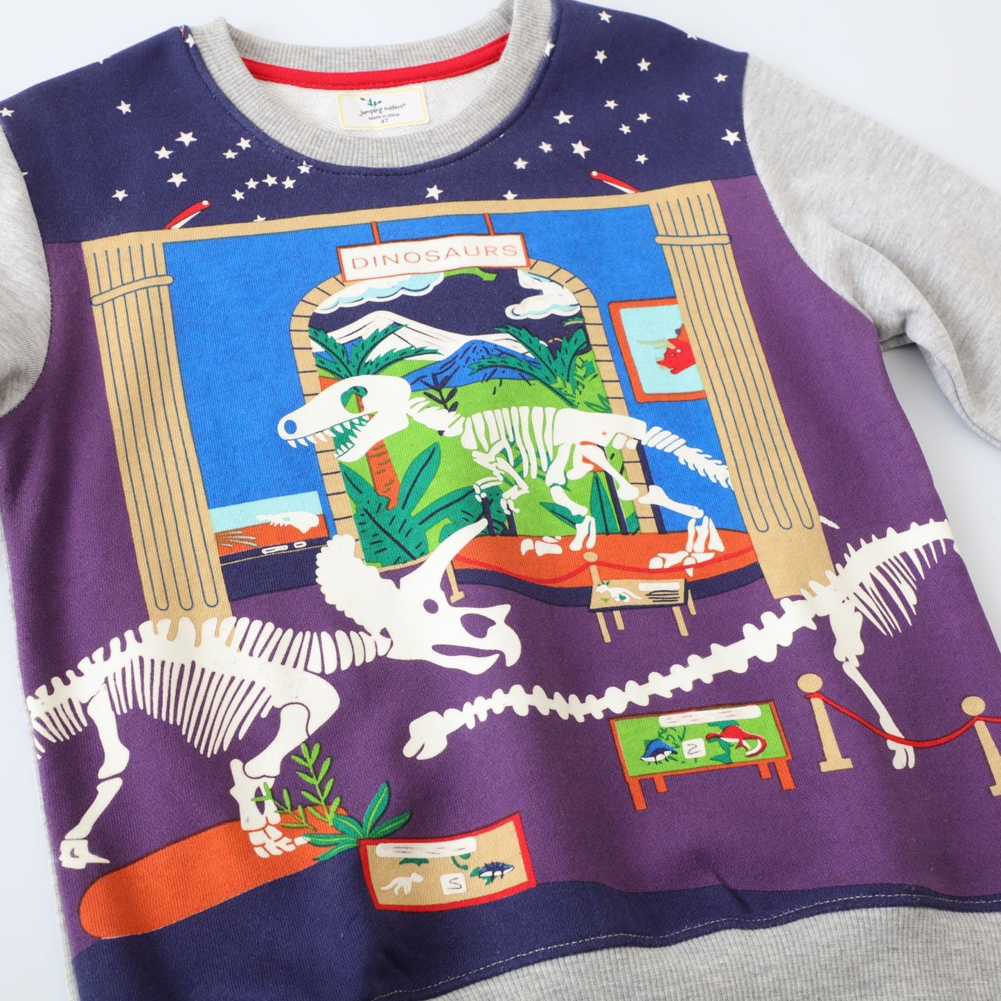 Dinosaur is back glow in the dark pullover