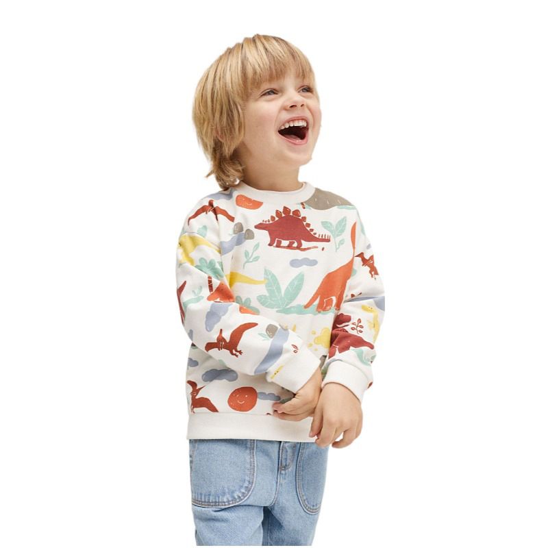 Sunny day Dinosaur pullover (Low in stock /2,4 &5 yrs old)