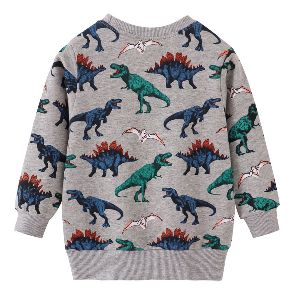 Cool dinosaurs kids pullover (low in stock / 2,5&6 yrs old)