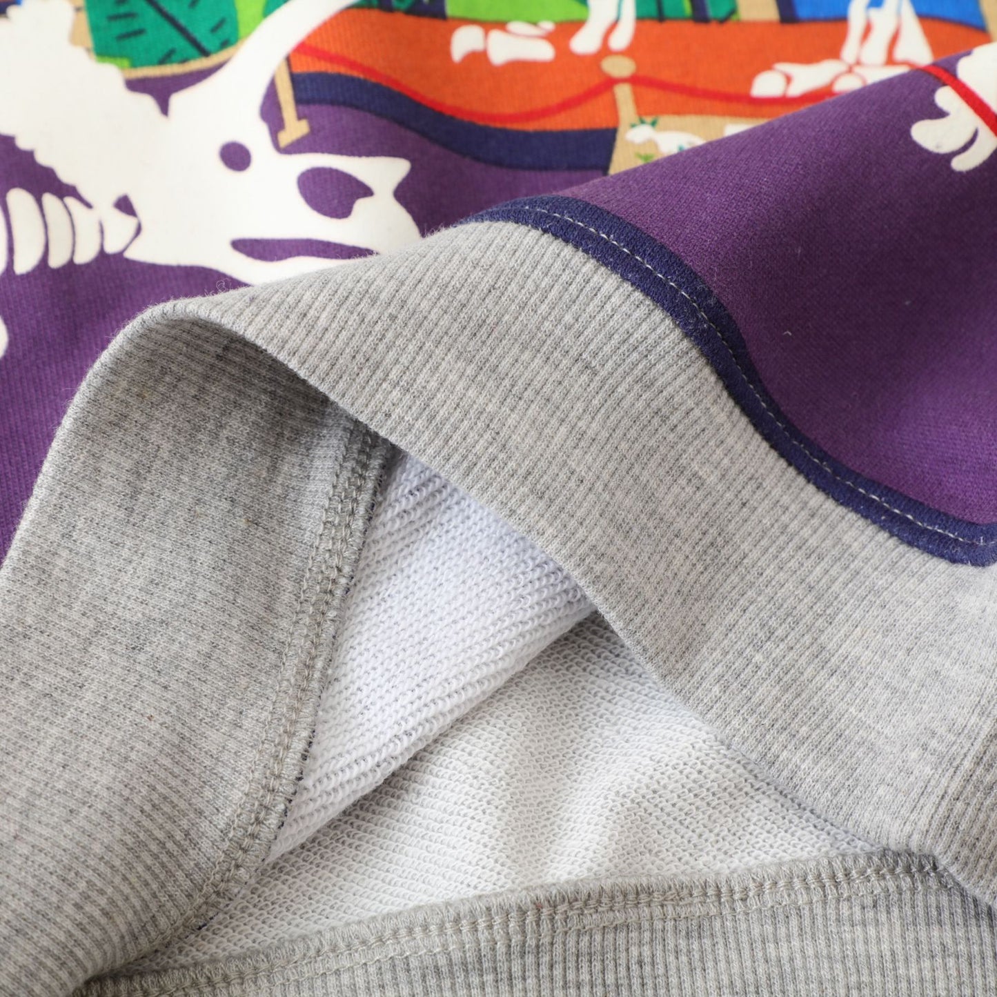 Dinosaur is back glow in the dark pullover