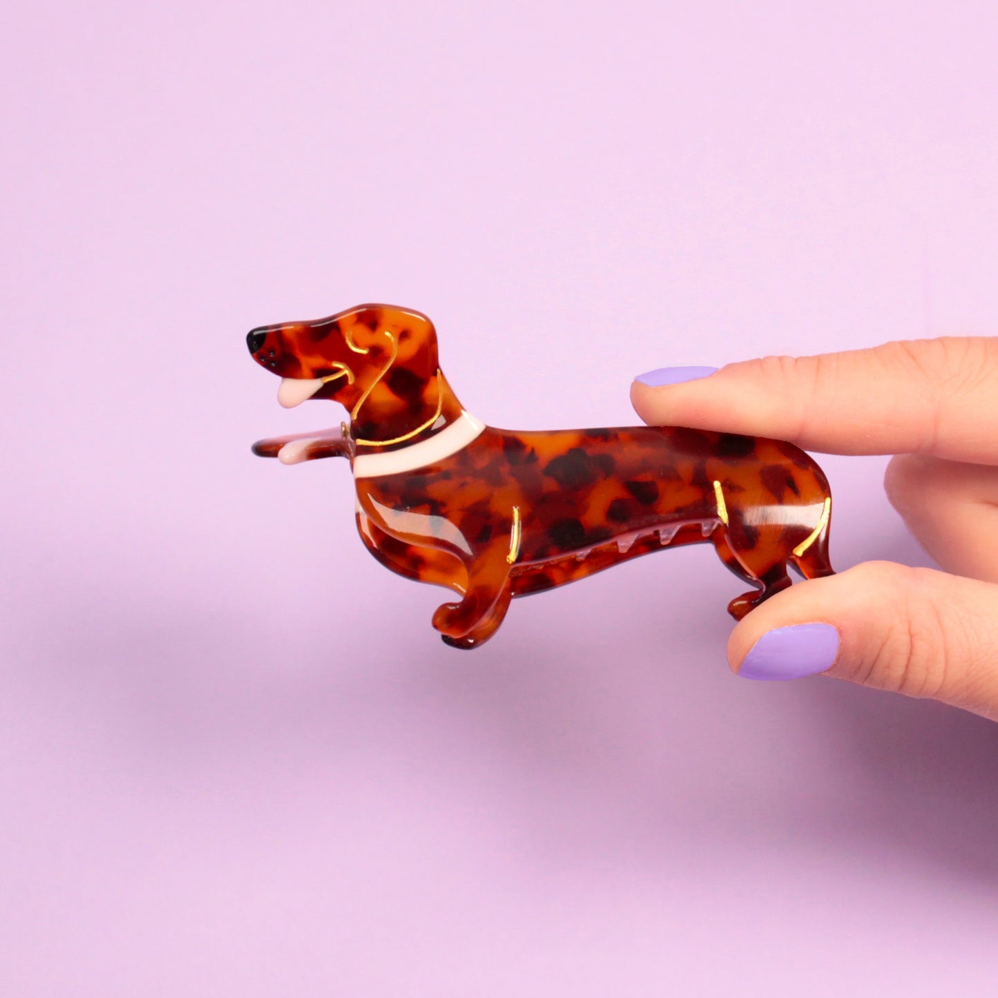 Coucou Suzette Dachshund dog Hair Claw