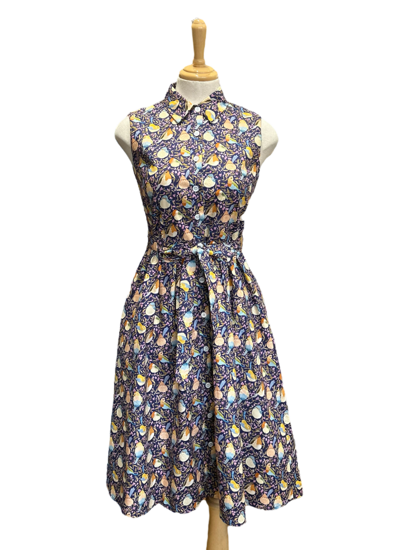 Custom Made Great Adventure Dress