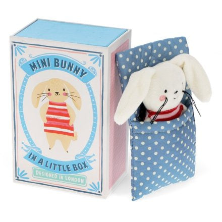 Mini bunny in a little box