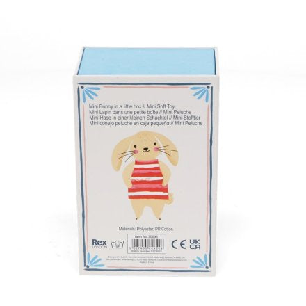 Mini bunny in a little box