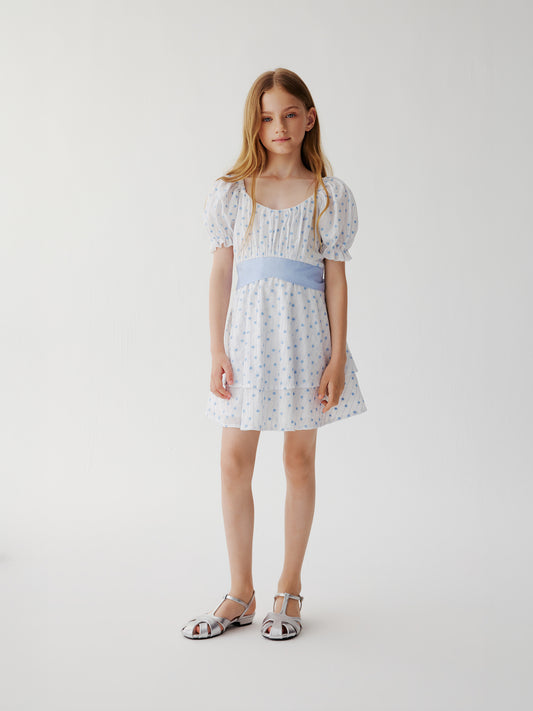 Bluebell Dress