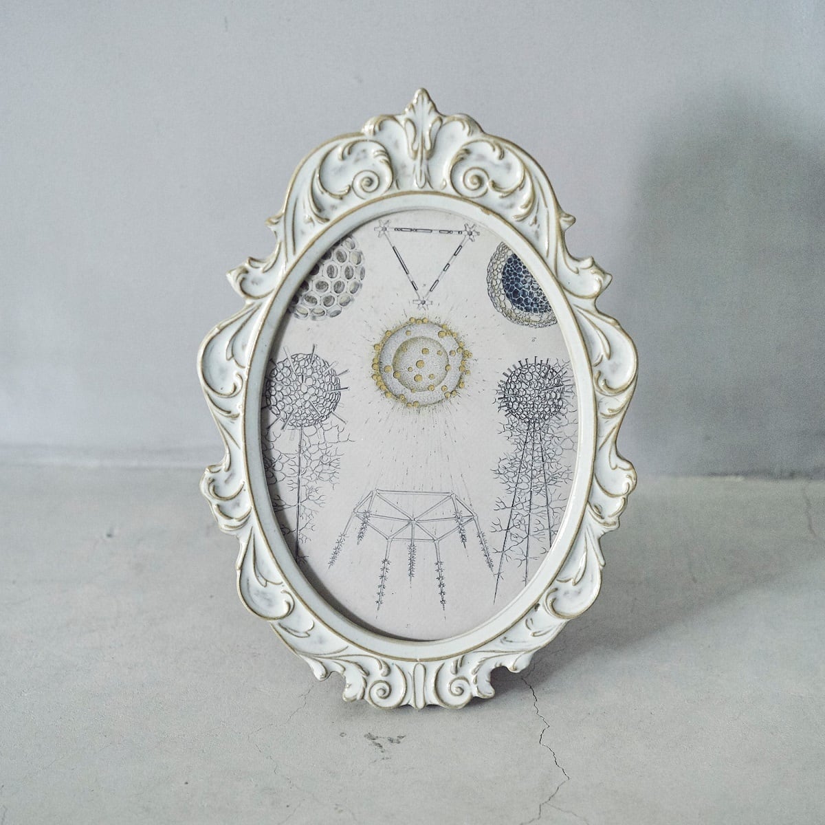 Oval Ornament Vintage Frame