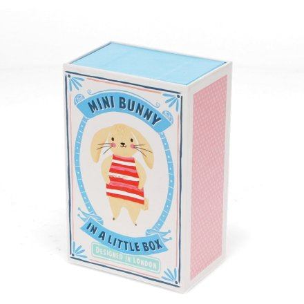Mini bunny in a little box