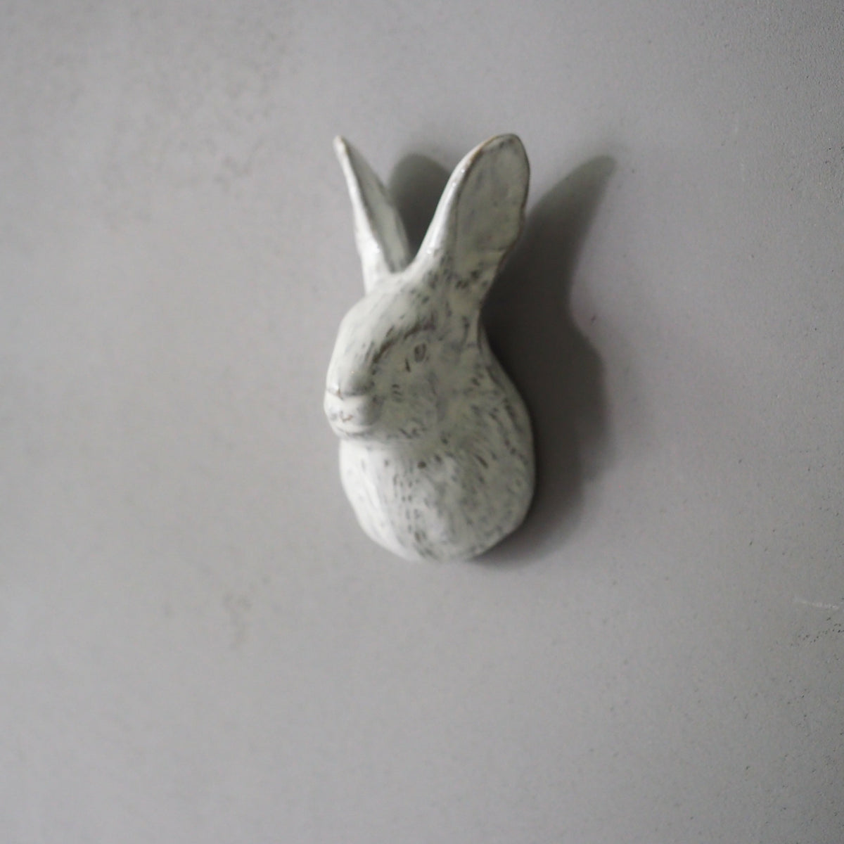 Rabbit door knob
