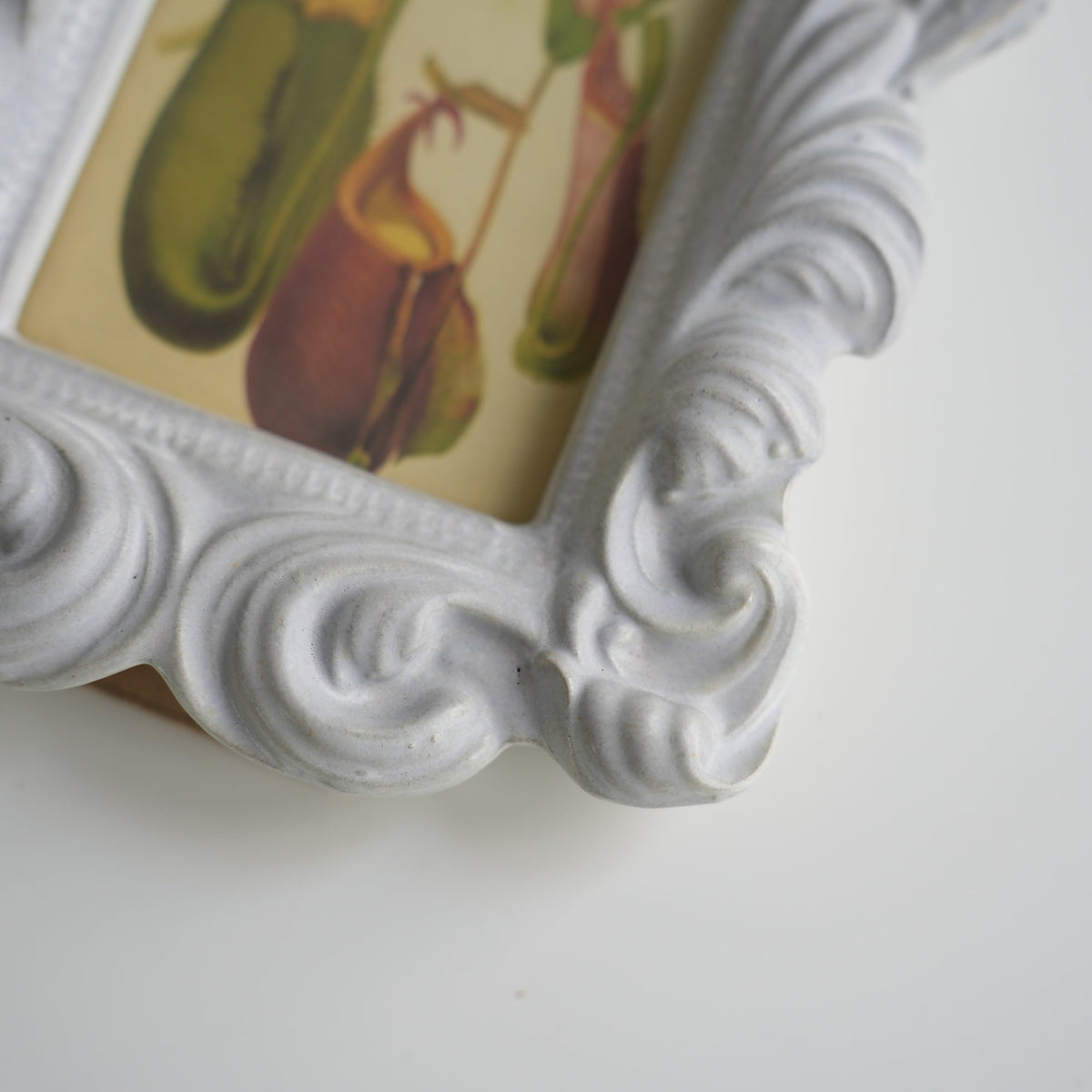 Ornament Vintage Frame