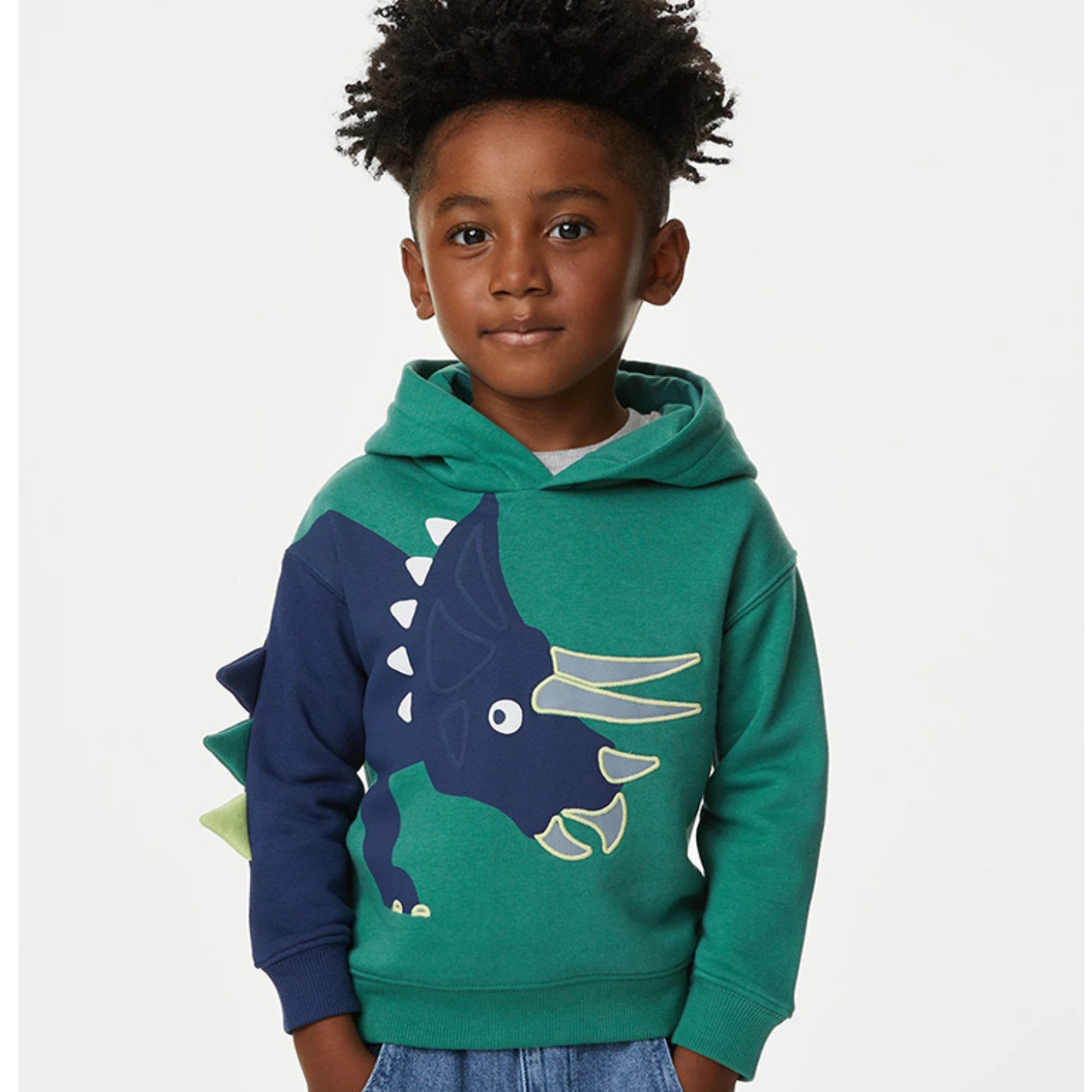 Triceratops Hoody