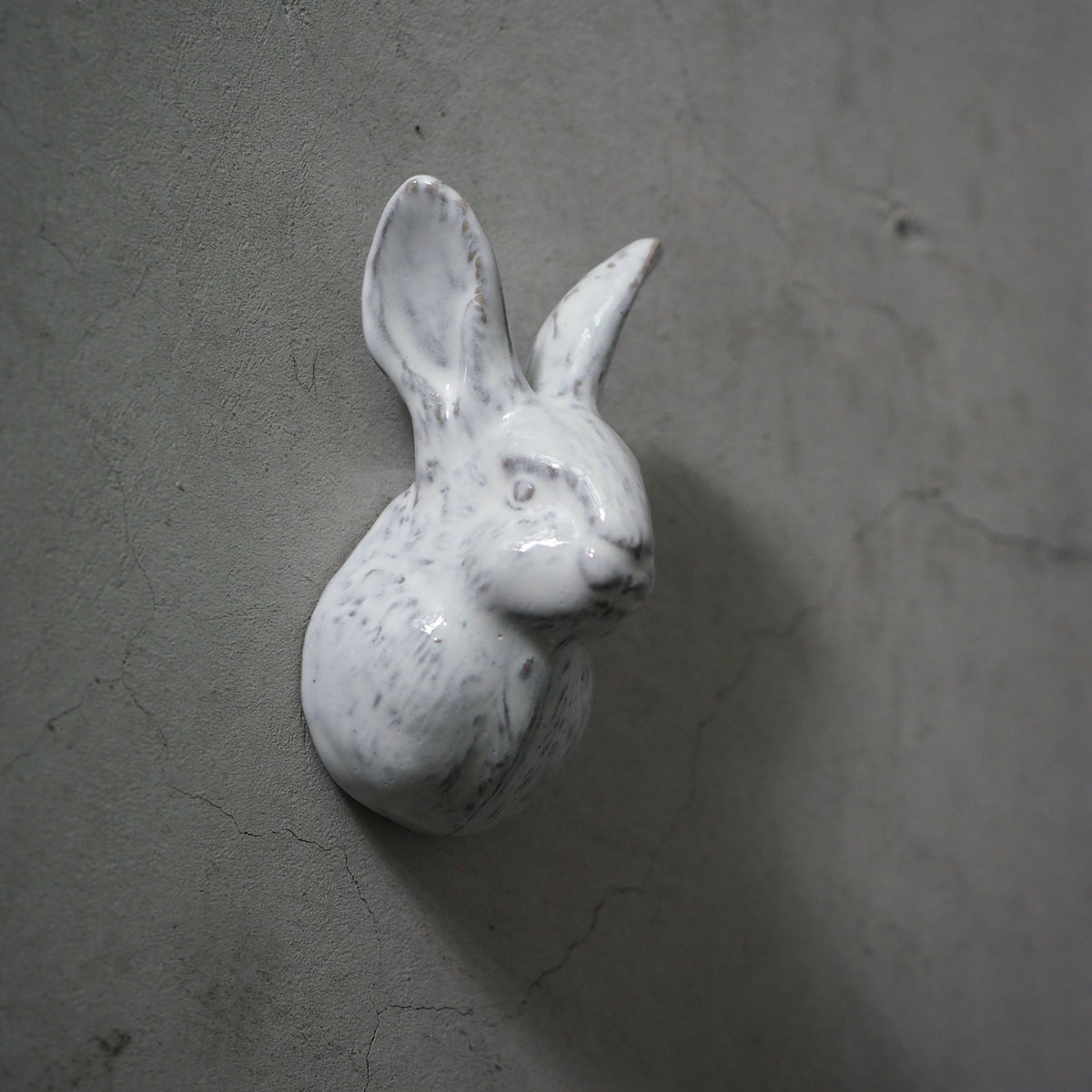 Rabbit door knob