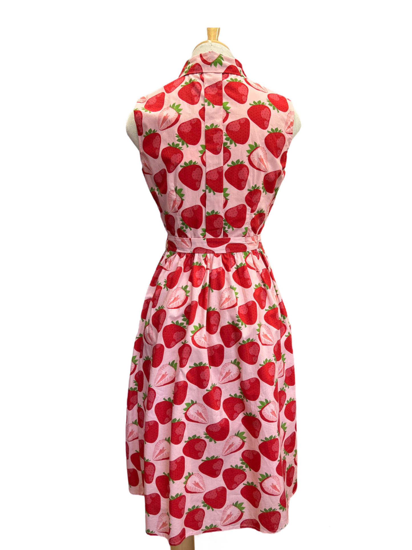 Custom Made Great Adventure Dress