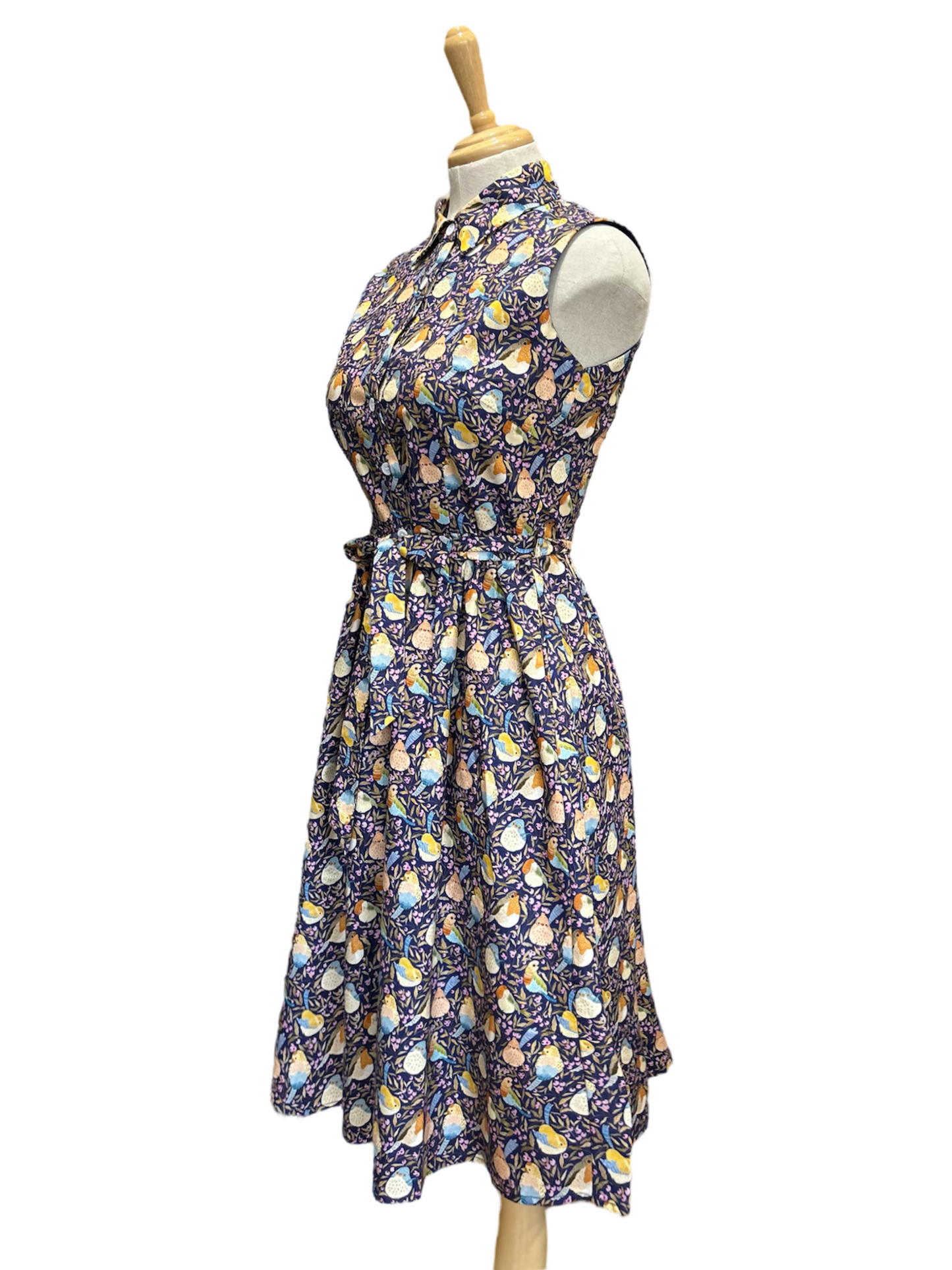Custom Made Great Adventure Dress