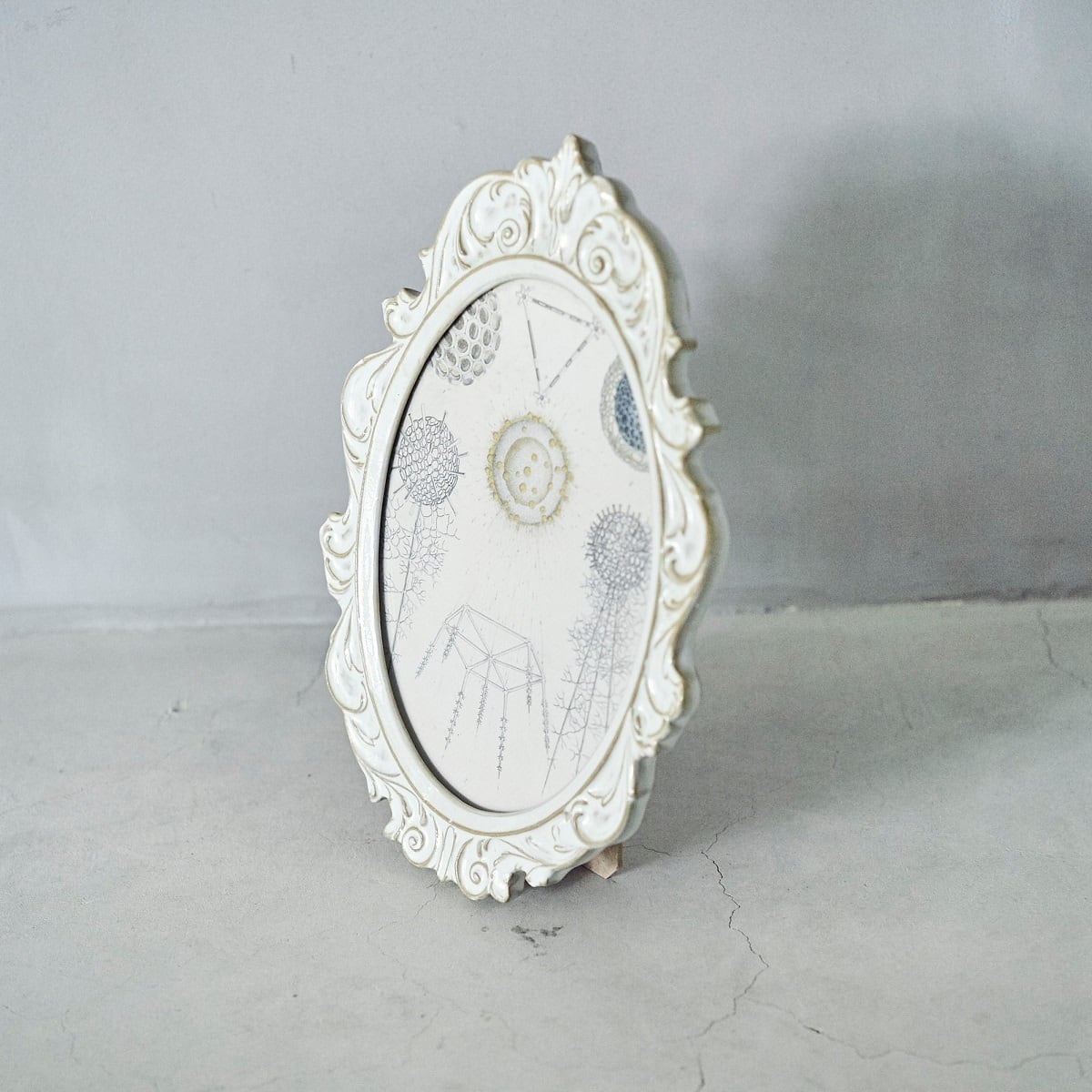 Oval Ornament Vintage Frame
