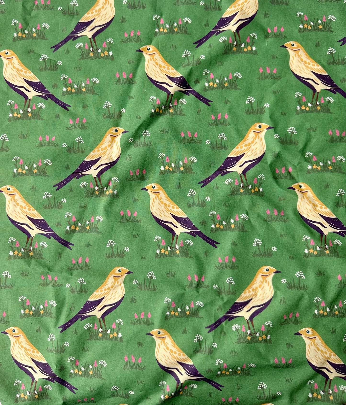 Great Adventure Dress - bird of feather