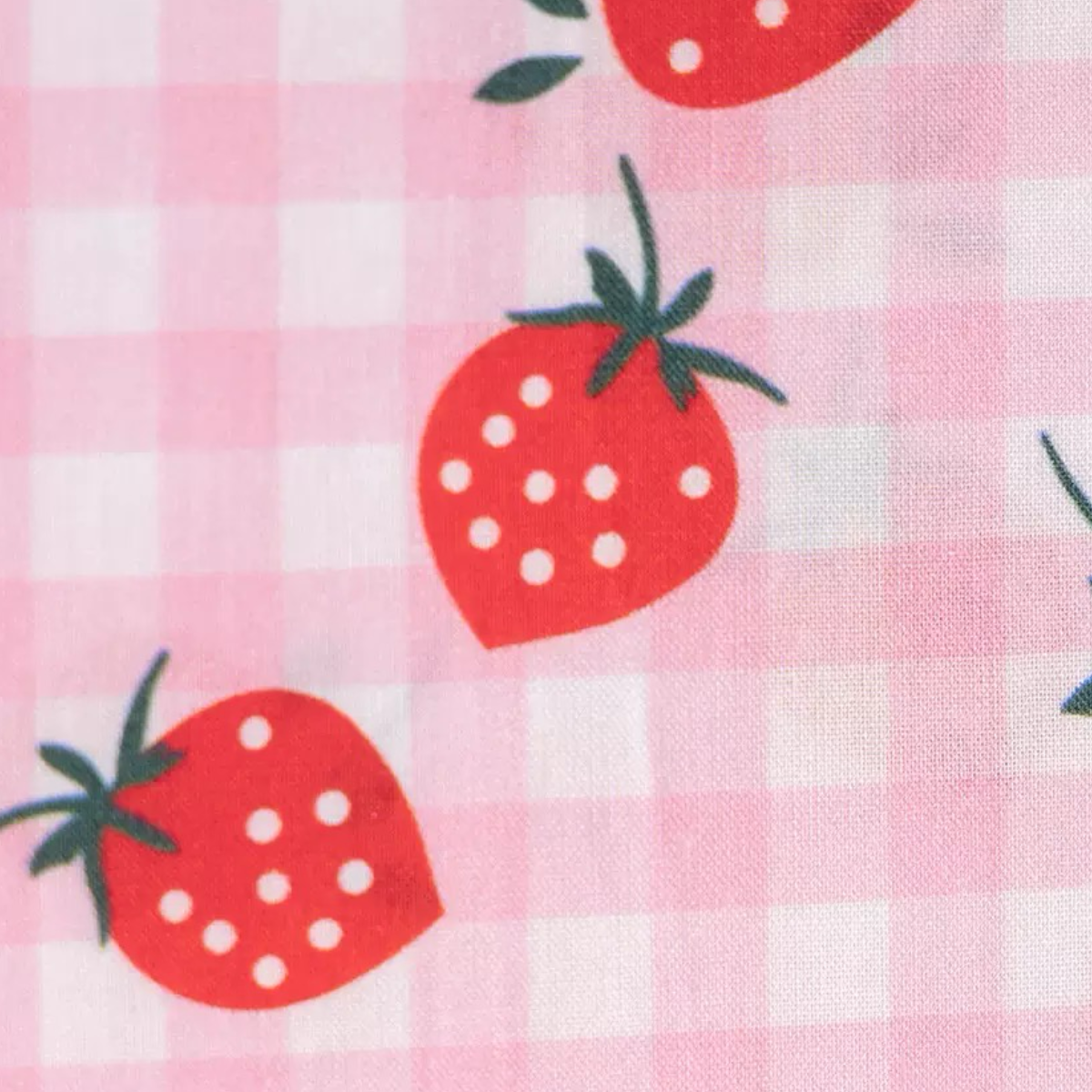 Strawberry Picnic Dress (available 14th July)