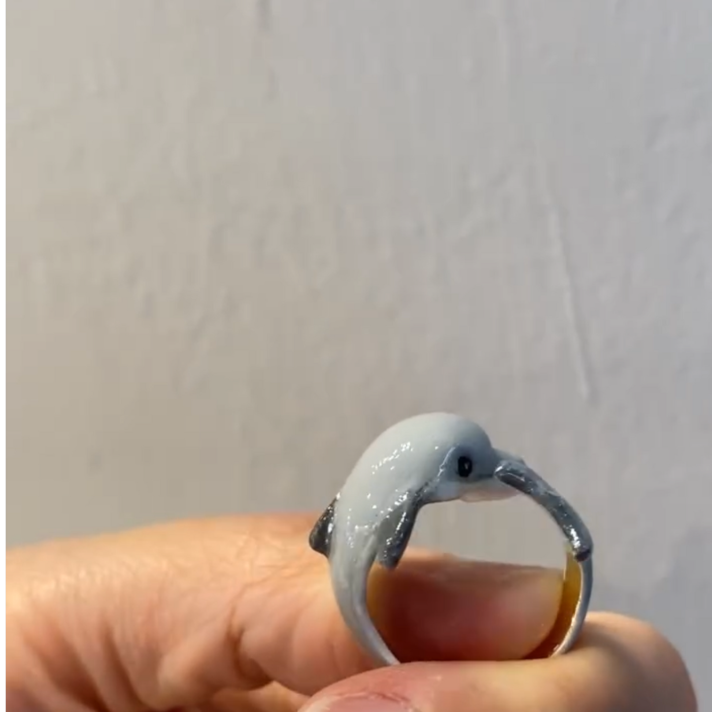Dolphin Ring