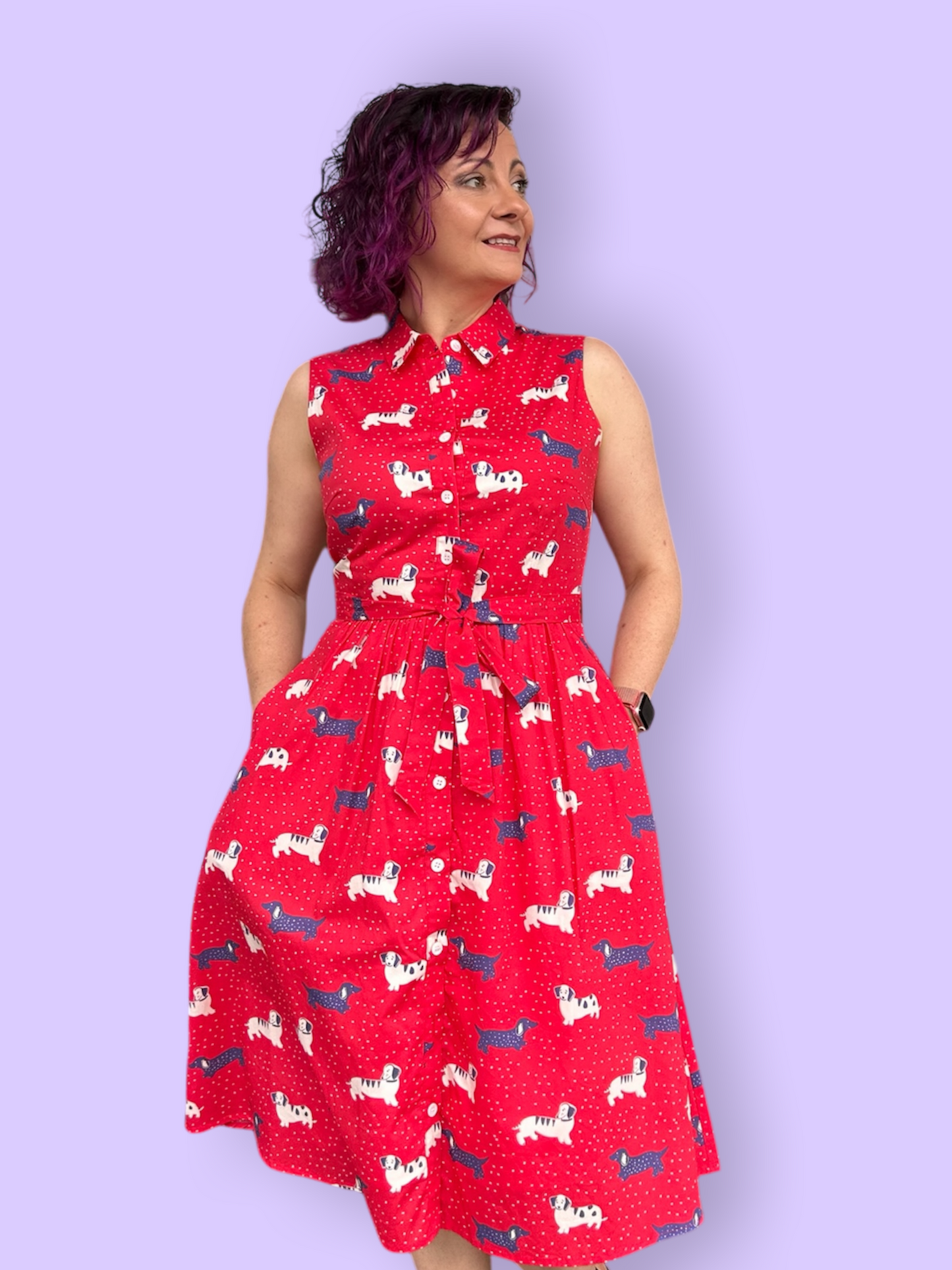 Custom Made Great Adventure Dress
