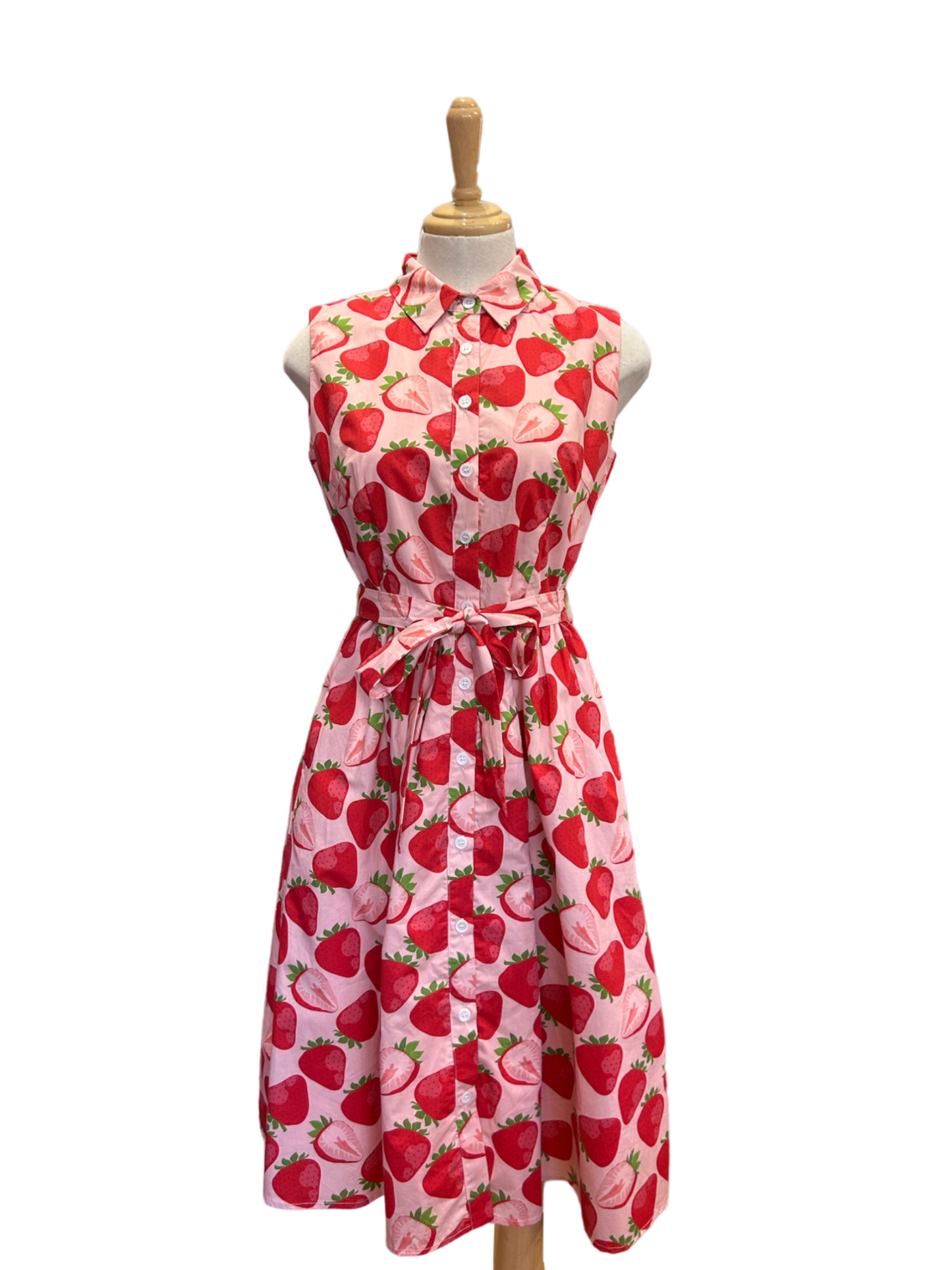 Custom Made Great Adventure Dress