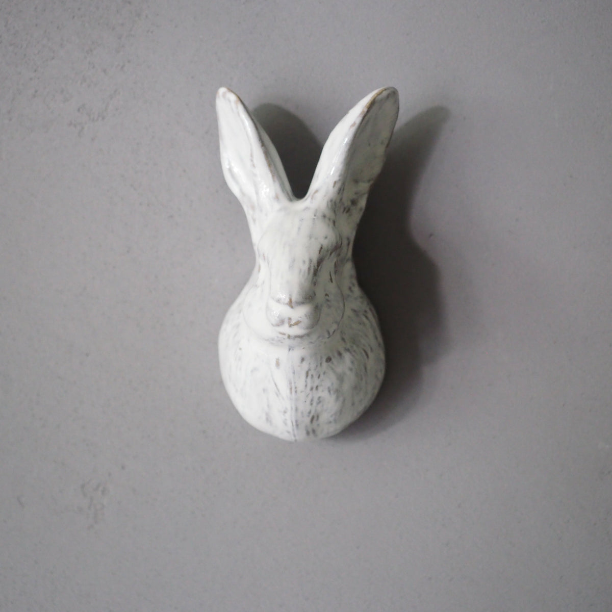 Rabbit door knob
