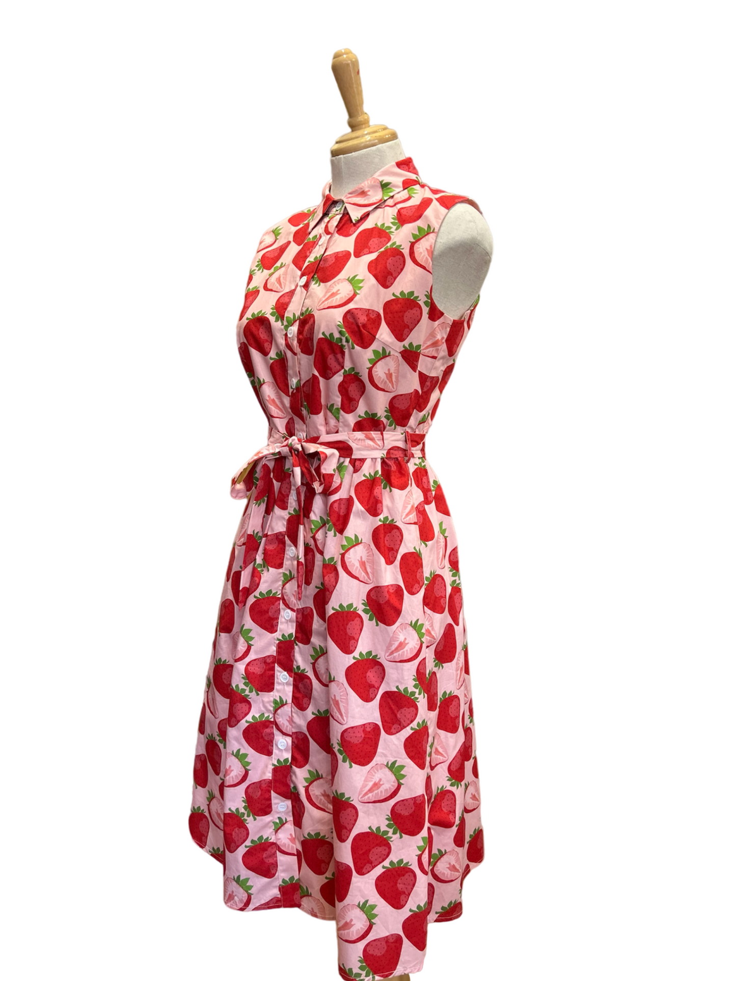 Custom Made Great Adventure Dress