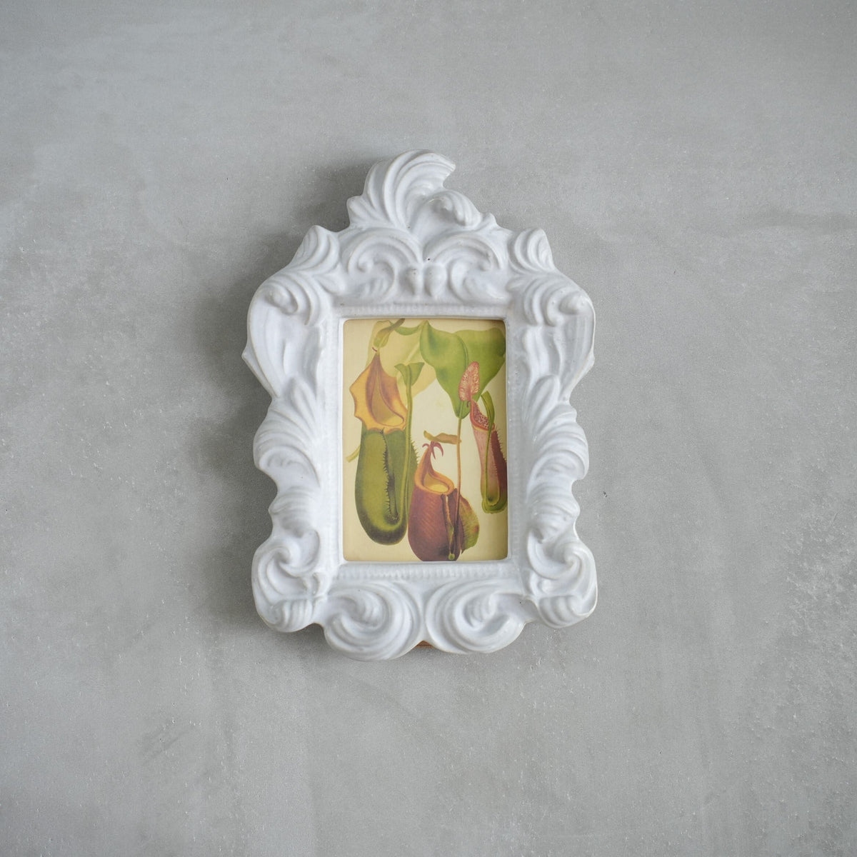 Ornament Vintage Frame