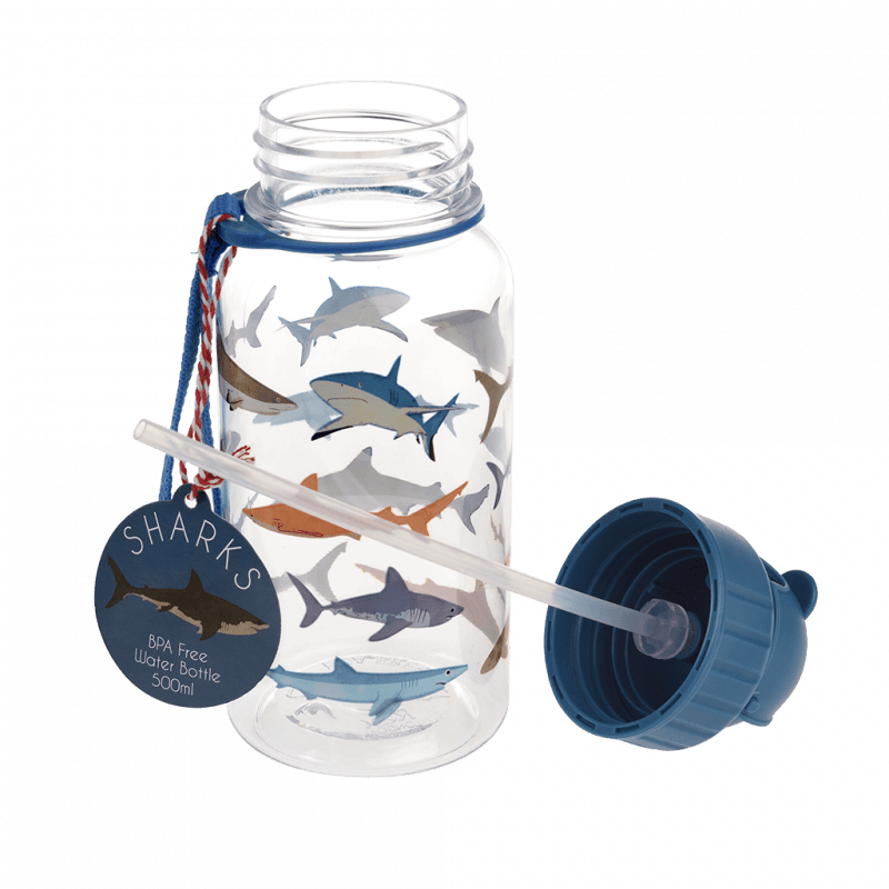 REX Child Water Bottle 500 ml- Shark