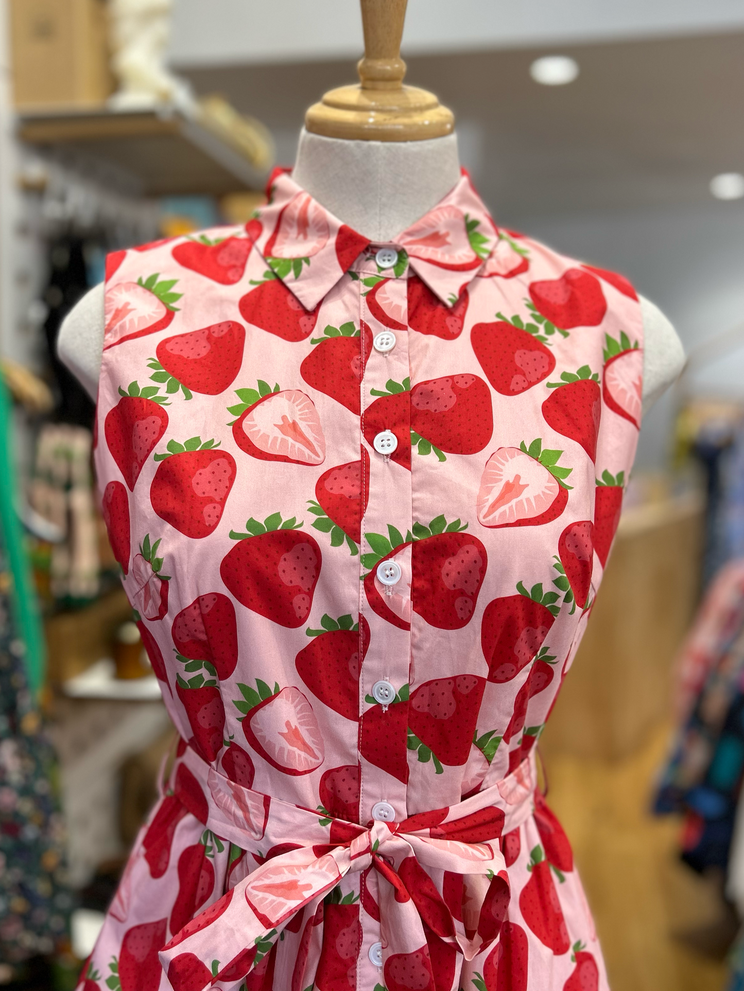 Great Adventure Dress - Strawberry