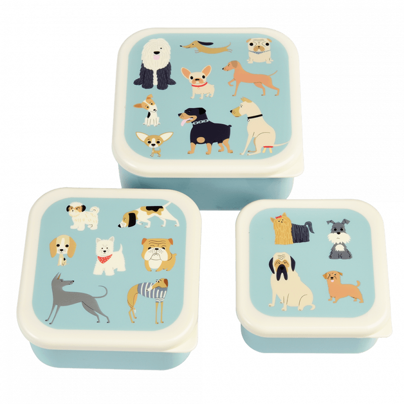 Set of 3 Snack boxes - Best in Show
