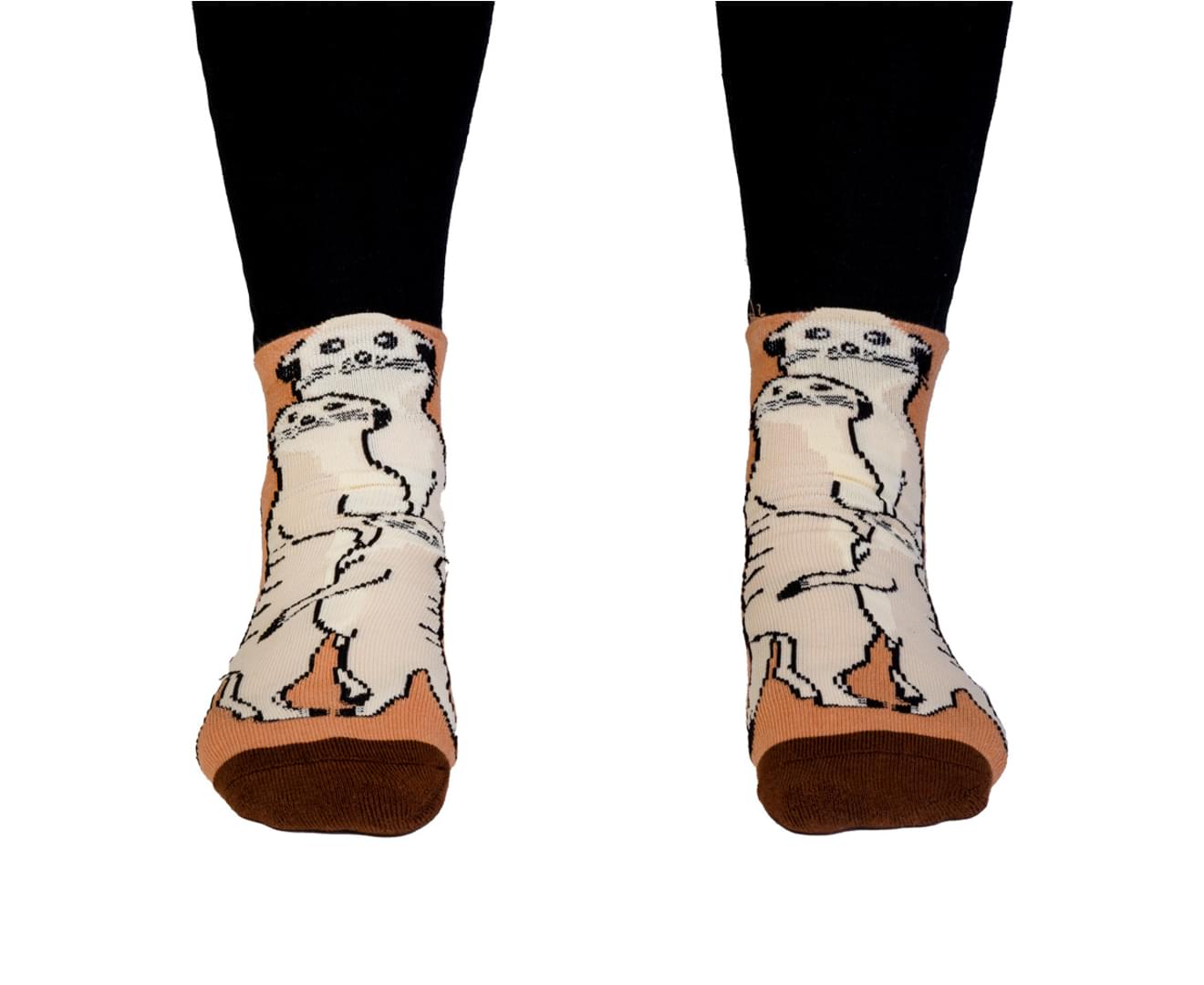 Feet speak socks Meerkat