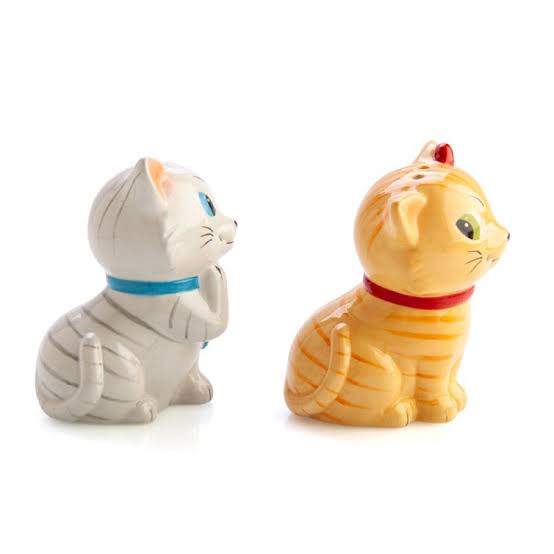 Salt and pepper set tabby cat