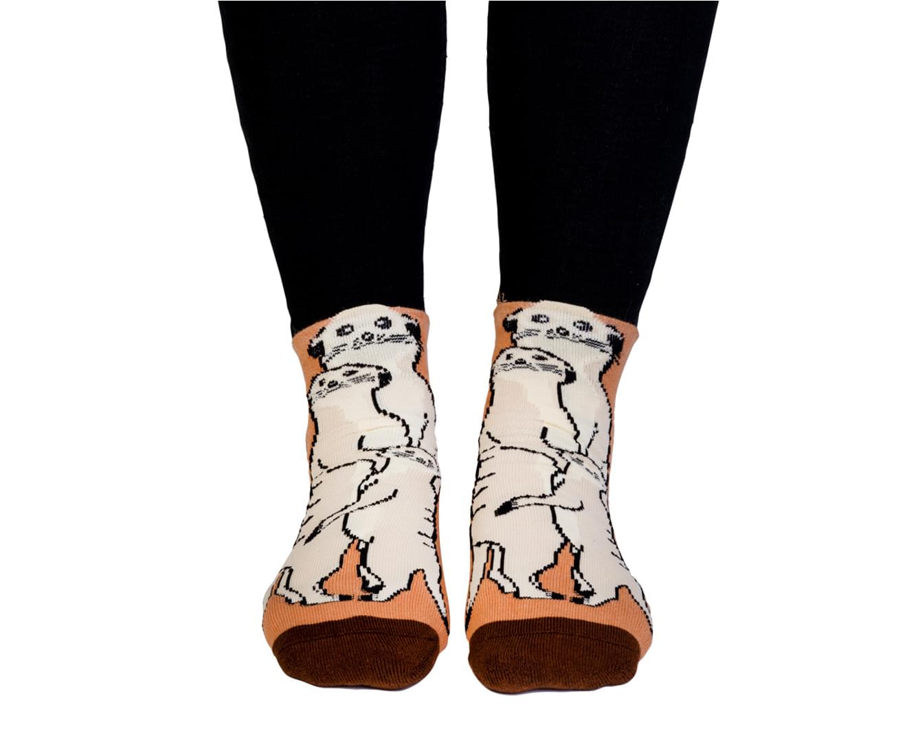 Feet speak socks Meerkat