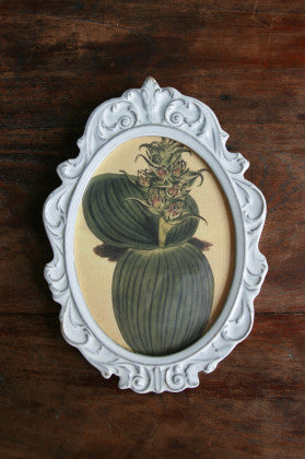 Oval Ornament Vintage Frame