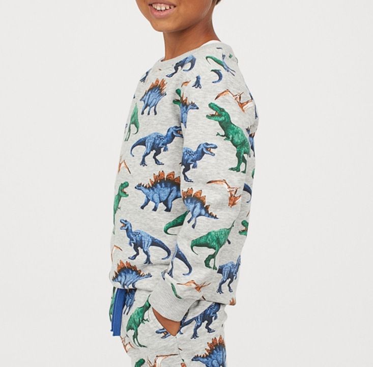 Cool dinosaurs kids pullover (low in stock / 2,5&6 yrs old)