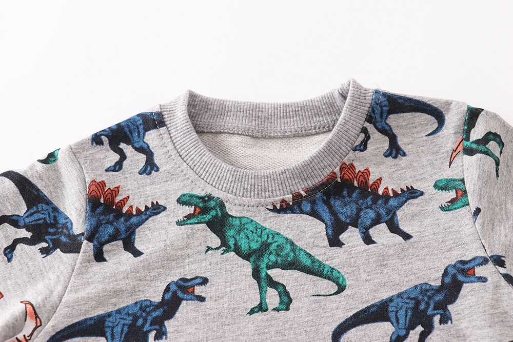 Cool dinosaurs kids pullover (low in stock / 2,5&6 yrs old)