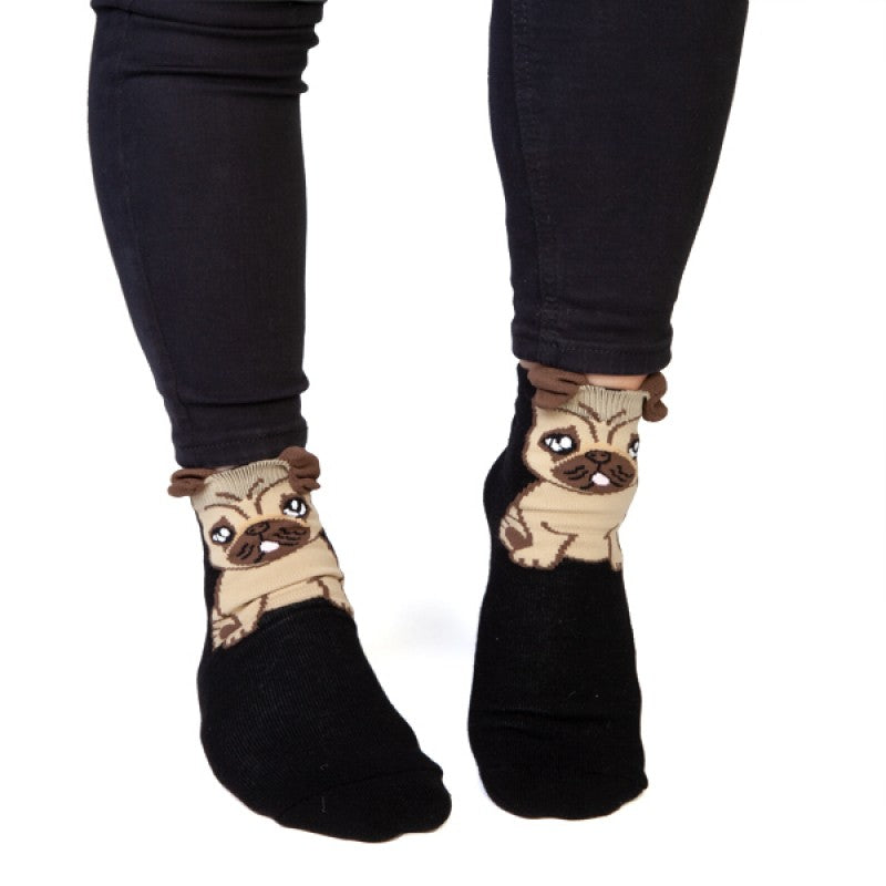 Feet speak socks Pug