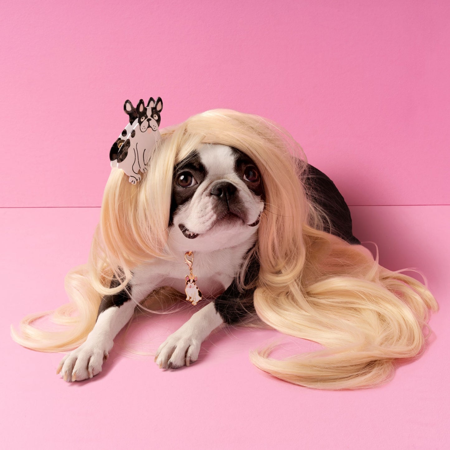 Coucou Suzette Bulldog Hair Claw