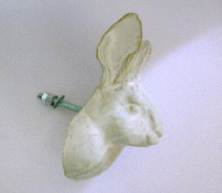 Rabbit door knob